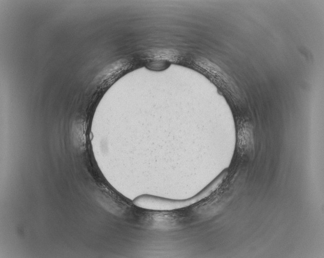 X0000115440264200912161500
