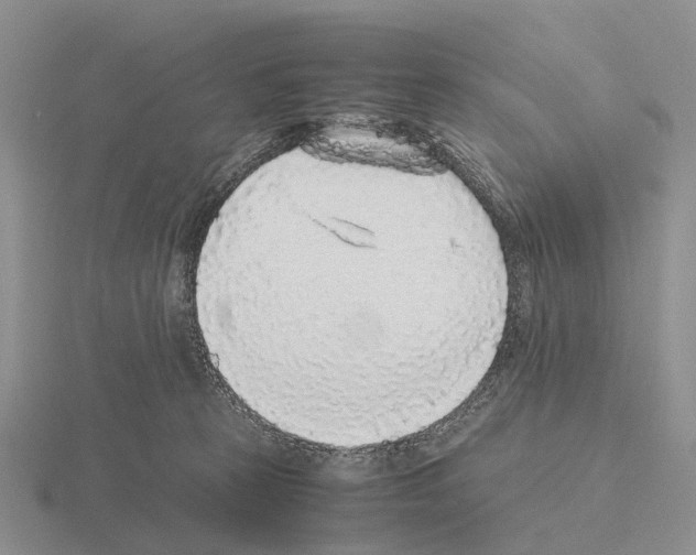 X0000115440273200912161500