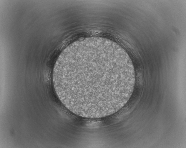 X0000115440274200912161500
