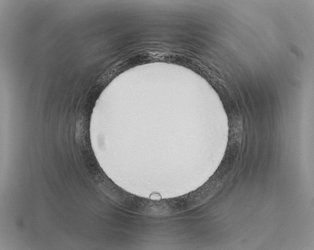 X0000115440275200912161500