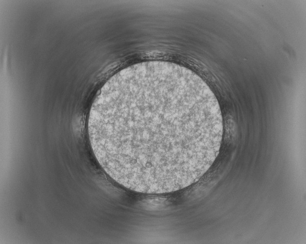 X0000115440278200912161500