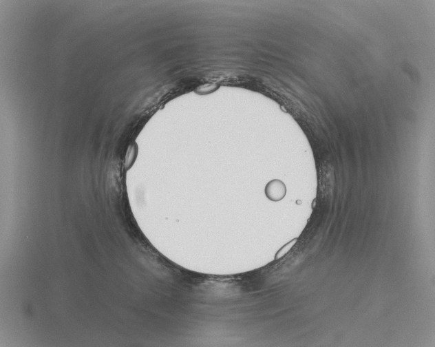 X0000115440280200912161500
