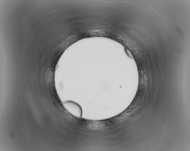 X0000115440281200912161500