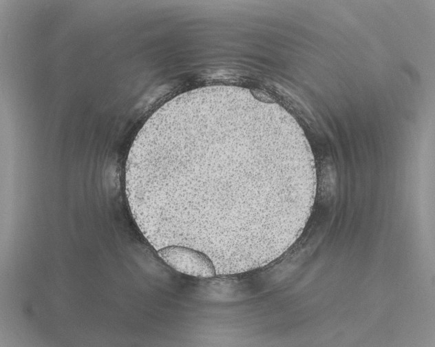X0000115440282200912161500