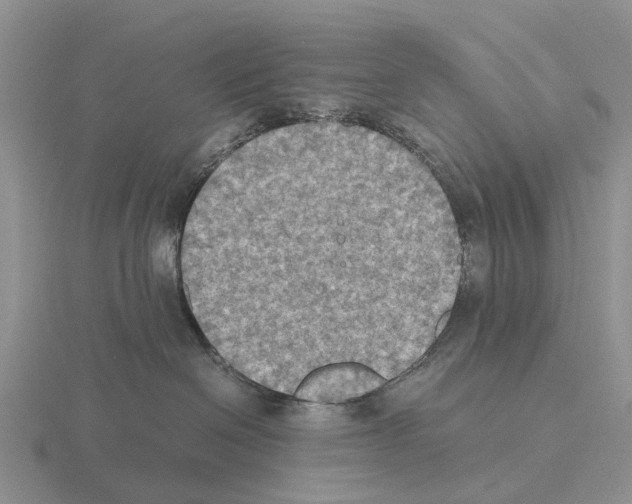 X0000115440286200912161500