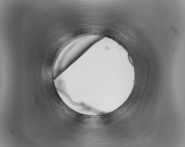 X0000115440288200912161500