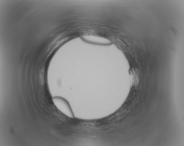 X0000115440291200912161500