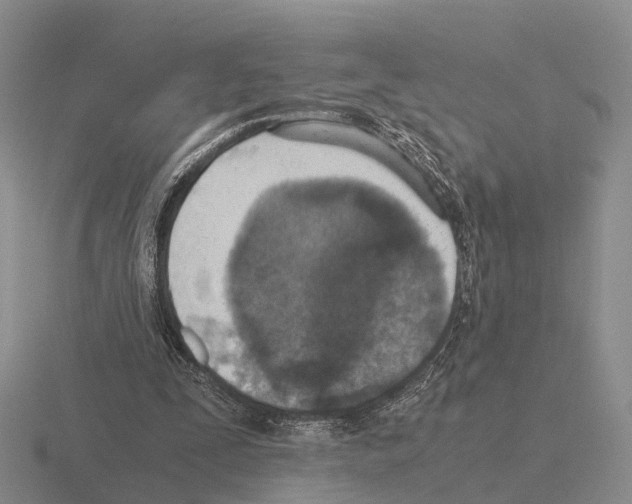 X0000115440295200912161500