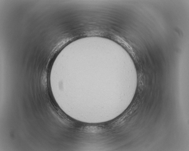 X0000115440298200912161500