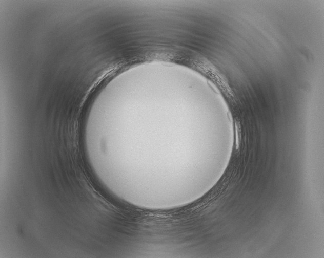 X0000115440300200912161500