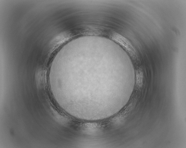 X0000115440302200912161500