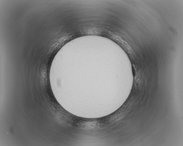 X0000115440306200912161459