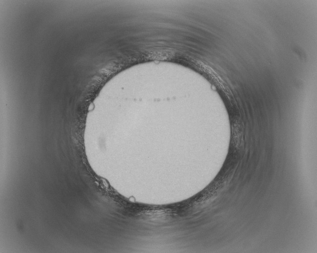 X0000115440307200912161459