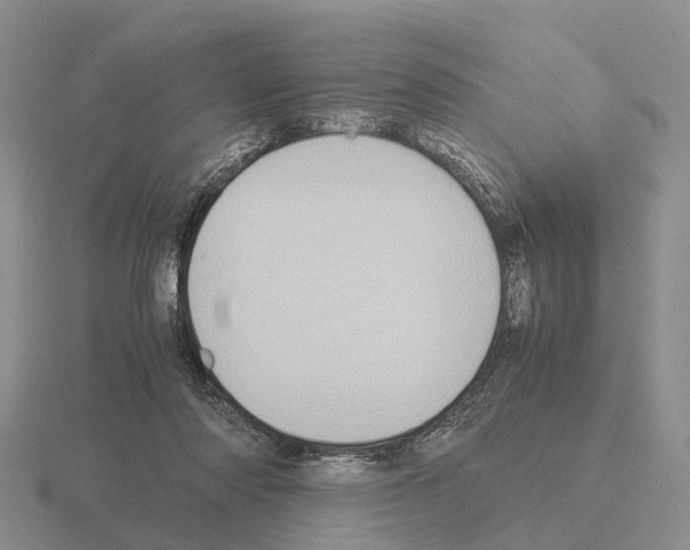 X0000115440310200912161459