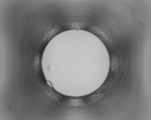X0000115440314200912161459