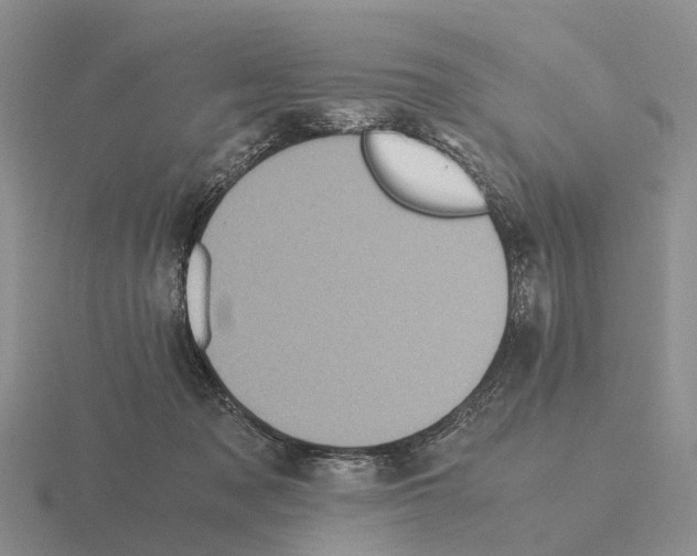 X0000115440317200912161459