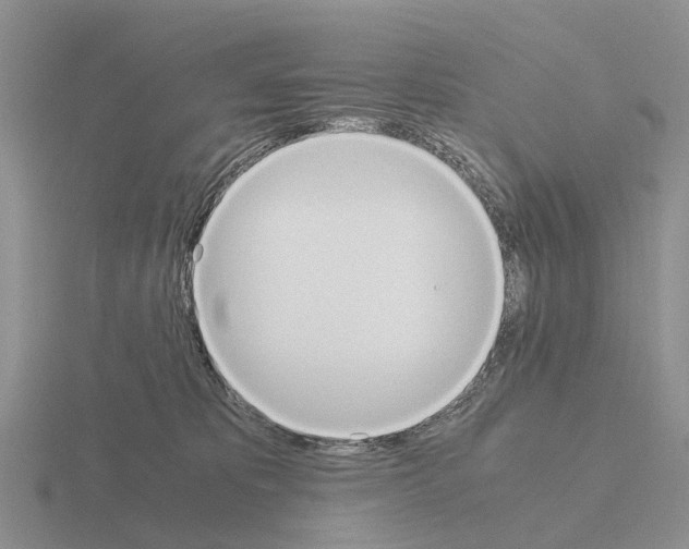 X0000115440325200912161459