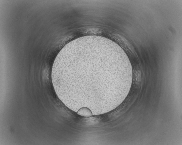 X0000115440326200912161459