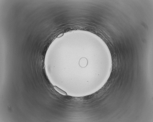 X0000115440328200912161459