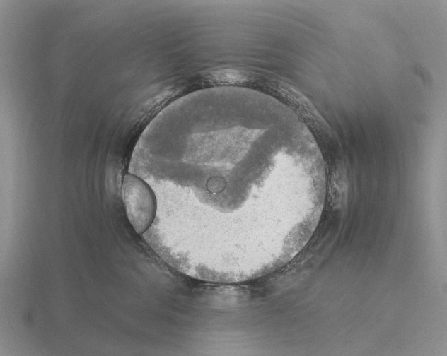 X0000115440330200912161459