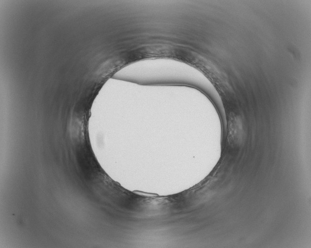 X0000115440333200912161459