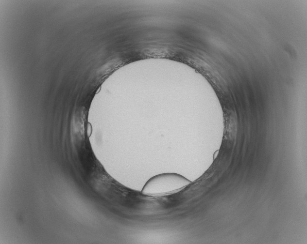 X0000115440334200912161459