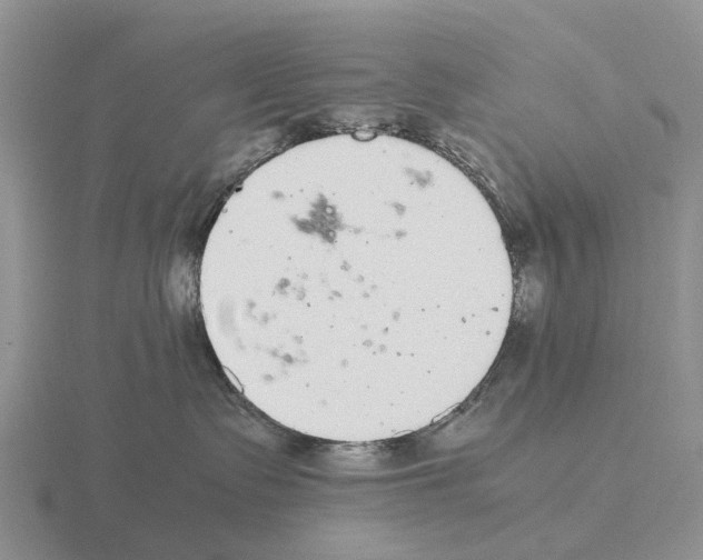 X0000115440335200912161459