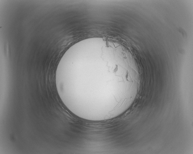 X0000115440336200912161459