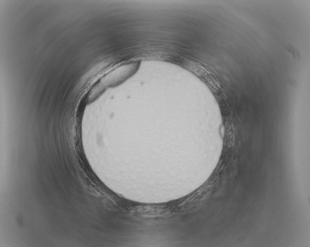 X0000115440338200912161458