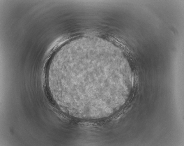 X0000115440339200912161459