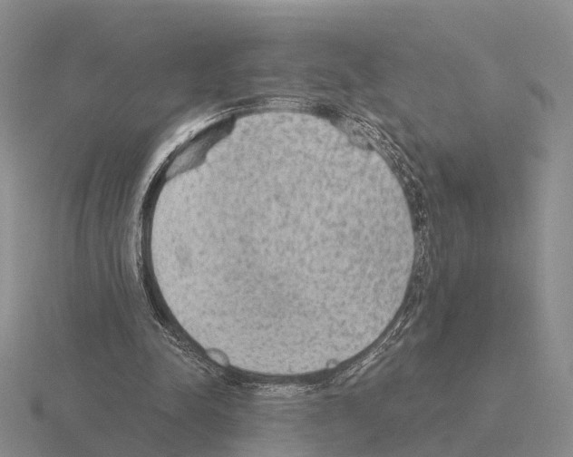 X0000115440342200912161459