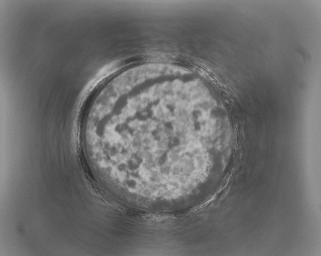 X0000115440343200912161459