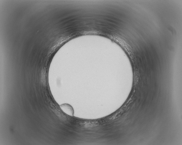 X0000115440345200912161459
