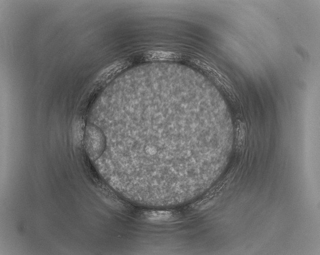 X0000115440361200912161459