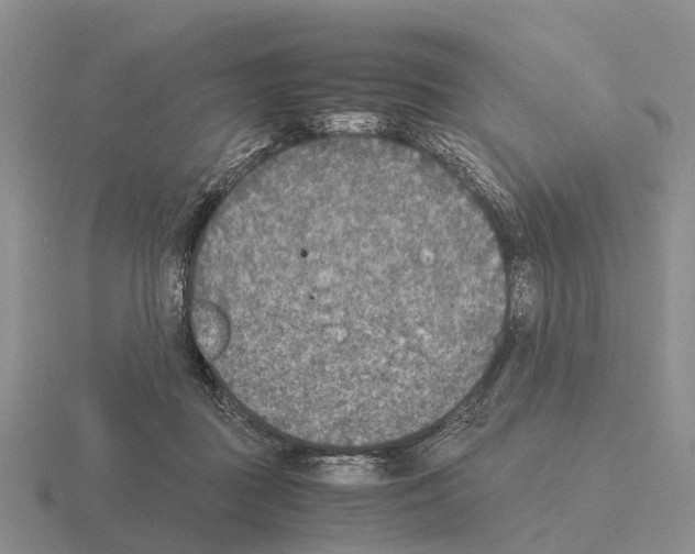 X0000115440363200912161459