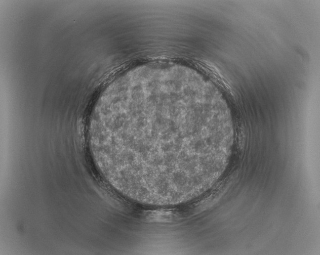X0000115440366200912161459