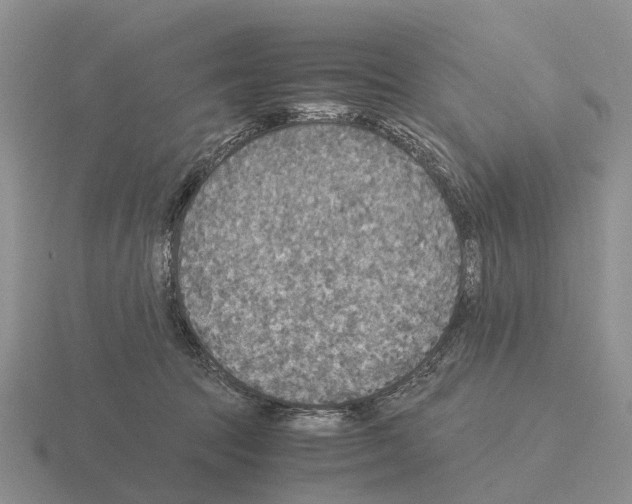 X0000115440369200912161459