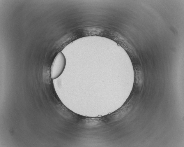 X0000115440378200912161459