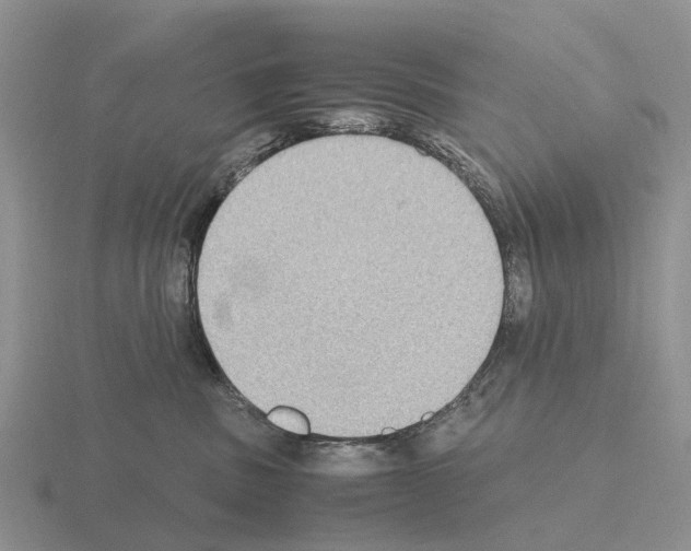 X0000115440379200912161459