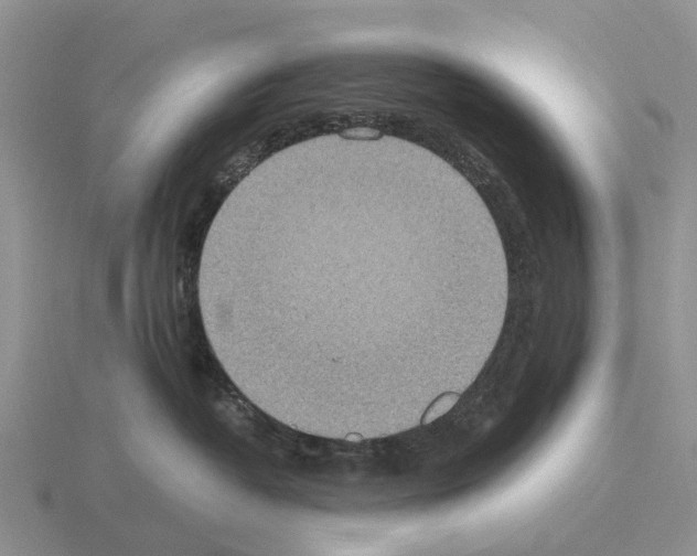 X0000115440382200912161459