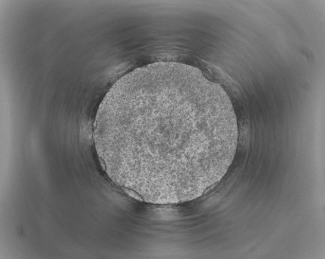 X0000115440383200912161459