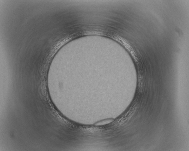 X0000115440385200912161458