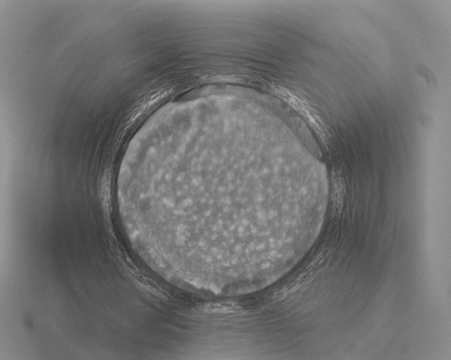 X0000115440386200912161458