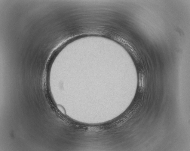 X0000115440388200912161458