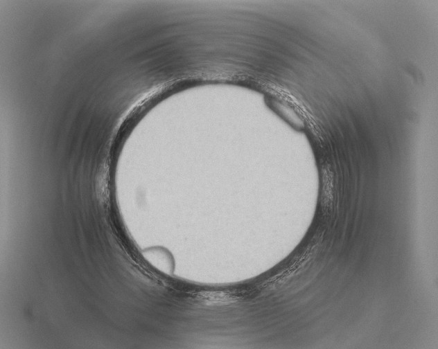 X0000115440392200912161458