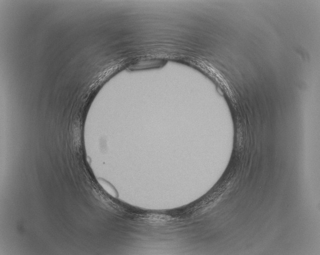 X0000115440393200912161458