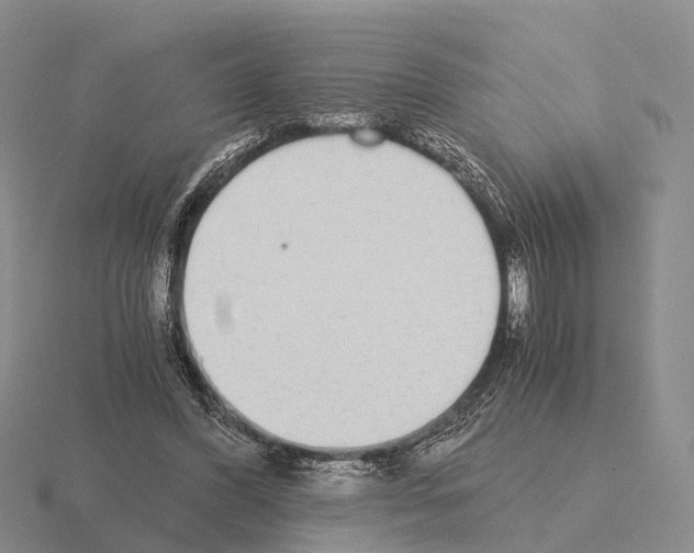 X0000115440396200912161458
