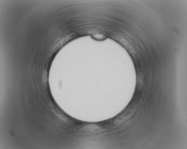 X0000115440397200912161458