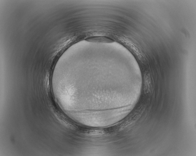 X0000115440398200912161458