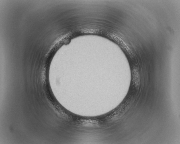X0000115440400200912161458